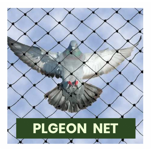 Plgeon Net